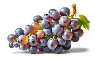 AI generated Ripe grapes with leaves isolated on white background photo