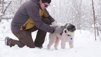 Mens wandelen zijn hond in de park in winter, strelen zijn hond video