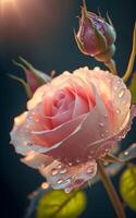 ai generado hermosa un rosado color Rosa en estudio foto