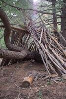 un imagen de un de madera abrigo hecho desde árbol ramas en el bosques de marbella. foto