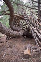 a temporary shelter in the forest made from tree branches. photo