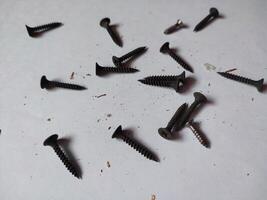 Drywall screws isolated on white background. Construction hardware photo