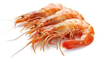 AI generated set of boiled prawns. Isolated on a white background photo