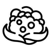 Cooking cabbage icon outline vector. Cauliflower calories vector