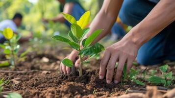 AI generated Community Initiatives Experience the power of community led initiatives that strive to make a difference. Tree planting events are the global mission to protect our environment photo