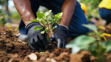 AI generated Community Initiatives Experience the power of community led initiatives that strive to make a difference. Tree planting events are the global mission to protect our environment photo