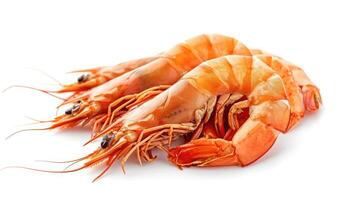 AI generated set of boiled prawns. Isolated on a white background photo