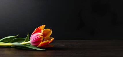 ai generado hermosa tulipán flor es en un oscuro antecedentes durante primavera foto