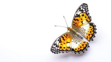 ai generado hermosa mariposa, malayo crisopa, leopardo Lacewing mariposa aislado en blanco antecedentes. foto