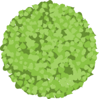 Trees top view. png