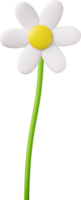 3d coloré Marguerite fleur png