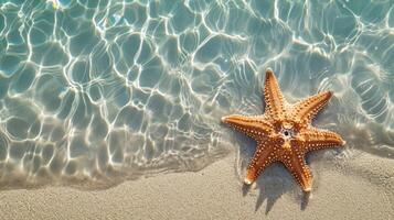 AI generated Starfish on the sand beach in clear sea water. Summer background. Summer time .Copy space. Relaxing on the beach. photo