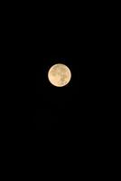 The blue moon in the night sky. supermoon, full moon. photo