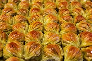 tradicional turco baklava. Gaziantep región postre. baklava con pistacho. delicioso . mejillones baklava. foto
