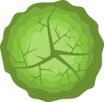 Trees top view. png