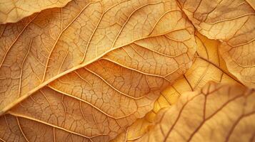 AI generated Close up of Fiber structure of dry leaves texture background. Cell patterns of Skeletons leaves photo