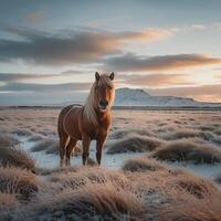 AI generated Icelandic landscape adorned with magnificent horse creates a stunning view For Social Media Post Size photo