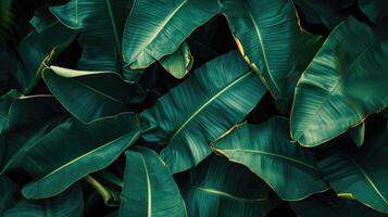 AI generated leaves of banana, abstract green dark texture, nature background, tropical leaf photo