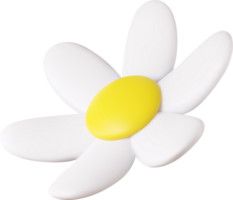 3d colorful daisy flower png