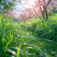 AI generated Bright and sunny springtime weather creates the perfect day For Social Media Post Size photo