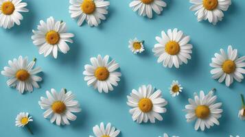 AI generated Daisy pattern. Flat lay spring and summer chamomile flowers on a blue background. Repetition concept. Top view photo