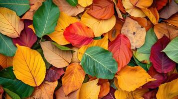 ai generado el antecedentes imagen ese es verde, el colores de el otoño hojas son perfecto, adecuado para estacional usar. foto