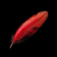 ai generado vibrante rojo pluma capturado en Exquisito detalle en contra negro antecedentes para social medios de comunicación enviar Talla foto