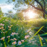 AI generated Idyllic spring day with clear skies and warm sunshine For Social Media Post Size photo