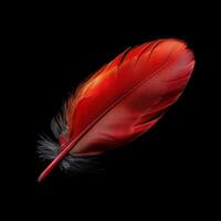 AI generated Vibrant red feather captured in exquisite detail against black background For Social Media Post Size photo
