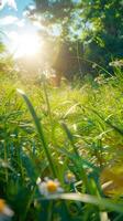 ai generado idílico primavera día con claro cielo y calentar Brillo Solar vertical móvil fondo de pantalla foto