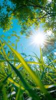 ai generado brillante y soleado primavera clima crea el Perfecto día vertical móvil fondo de pantalla foto