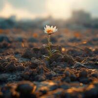 AI generated Symbol of resilience Hopeful flower blooms amidst arid soil For Social Media Post Size photo