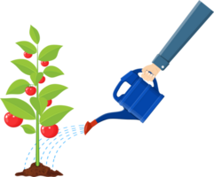 Hand watering money fruit tree with can. png