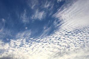 Cirrocumulus are formed by the deformation of Cirrus or Cirrostratus clouds or by the shrinkage of fragmented Altocumulus. photo