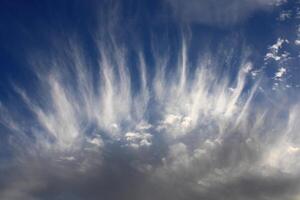 Cirrocumulus are formed by the deformation of Cirrus or Cirrostratus clouds or by the shrinkage of fragmented Altocumulus. photo