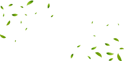 Realistic green tea leaves in motion png