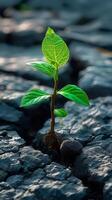 AI generated Natures resilience Green plant breaks through stones, symbolizing growth Vertical Mobile Wallpaper photo