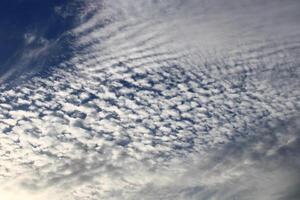 Cirrocumulus are formed by the deformation of Cirrus or Cirrostratus clouds or by the shrinkage of fragmented Altocumulus. photo