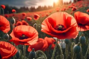 AI generated Poppy flowers are blooming in garden during spring photo
