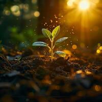 AI generated Lifes renewal Little plant emerges from soil in golden light For Social Media Post Size photo