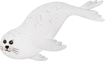 foca fofa desenho animado aguarela png