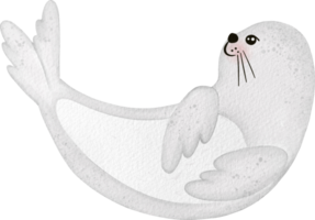 foca fofa desenho animado aguarela png