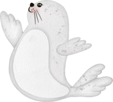 foca carino cartone animato acquerello png