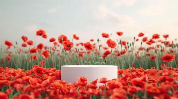 AI generated Empty product display, white podium with field of blooming red poppies on background. 3D stage showcase, beauty skincare cosmetics concept presentation. photo