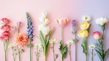 AI generated Arrangement of spring flowers against a pastel colors background. Blooming concept. Flat lay. photo