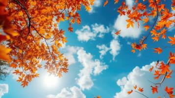 AI generated Autumn landscape. Autumn tree leaves sky background. photo