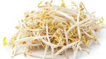 AI generated Bean sprouts on isolated white background. photo