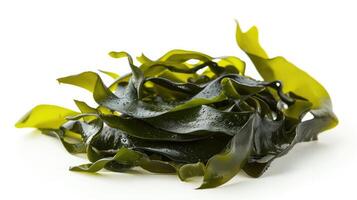 AI generated Seaweed on isolated white background. photo