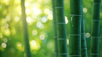 AI generated Blurred images of bamboo forest Bamboo Background photo