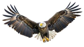 AI generated eagle on isolated white background. photo